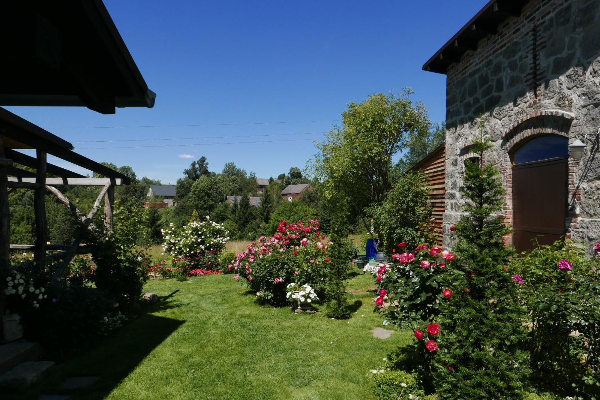 Roze I Jablonie Agroturystyka Gryfow Slaski Exterior photo